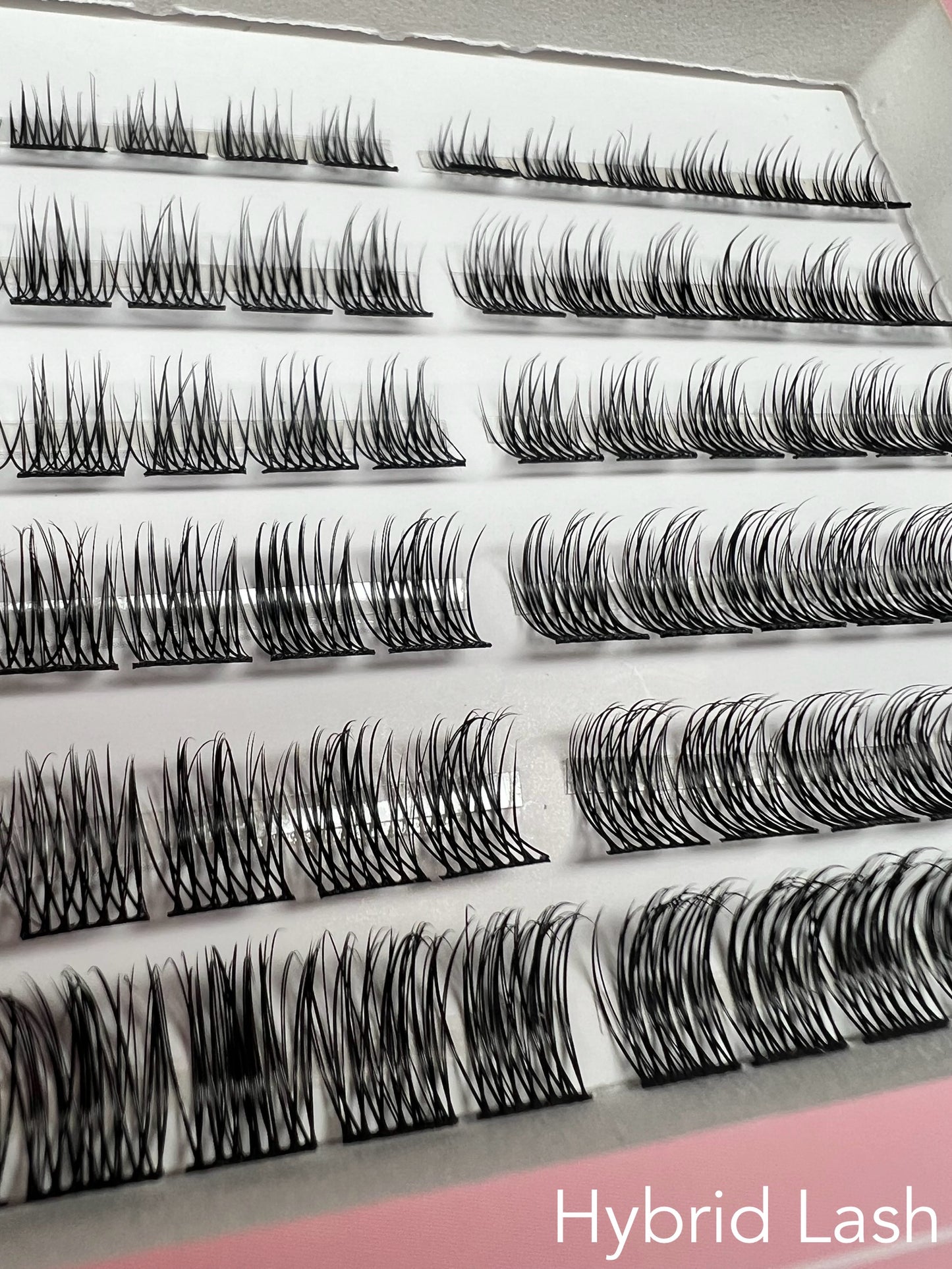 LASH AFFAIR by Lincoln Sunkissed